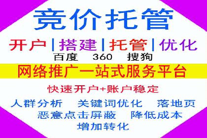案例分享：SEM代运营如何实现ROI最大化